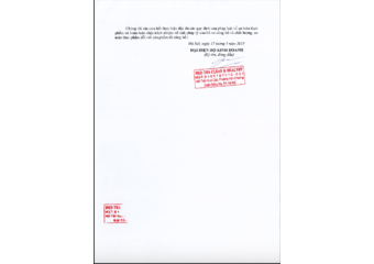 Bản tự công bố sản phẩm (2)