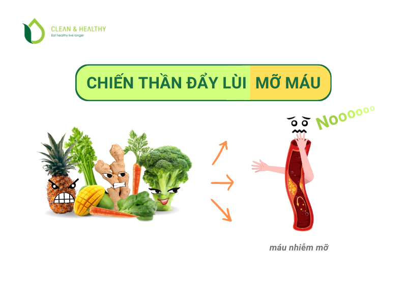 ĐẨY LÙI MỠ MÁU NHƯ THẾ NÀO?