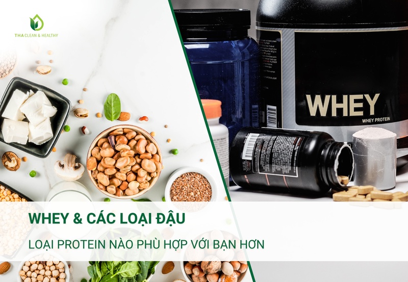 WHEY & CÁC LOẠI ĐẬU - LOẠI PROTEIN NÀO PHÙ HỢP VỚI BẠN HƠN