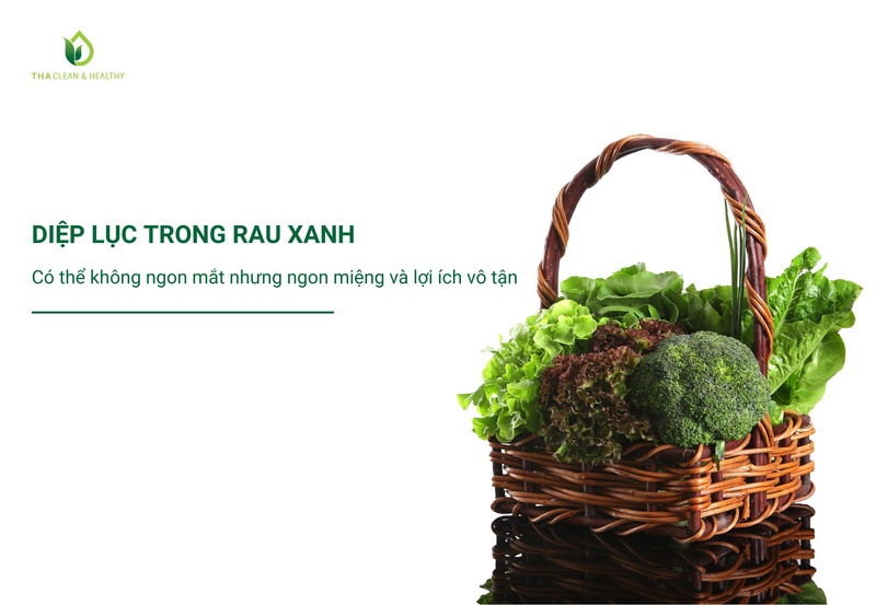 DIỆP LỤC TRONG RAU XANH - CÓ THỂ KHÔNG NGON MẮT NHƯNG NGON MIỆNG VÀ LỢI ÍCH VÔ TẬN