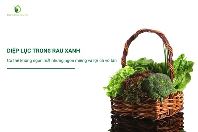 DIỆP LỤC TRONG RAU XANH - CÓ THỂ KHÔNG NGON MẮT NHƯNG NGON MIỆNG VÀ LỢI ÍCH VÔ TẬN