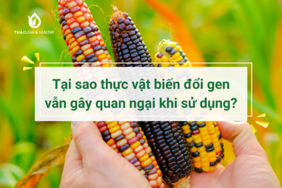 TẠI SAO THỰC VẬT BIẾN ĐỔI GEN VẪN GÂY QUAN NGẠI KHI SỬ DỤNG?