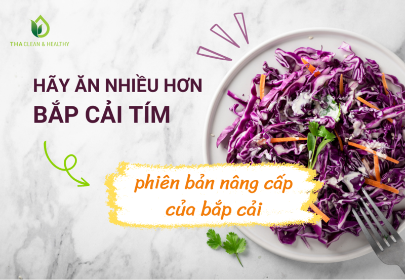 HÃY ĂN NHIỀU HƠN BẮP CẢI TÍM - PHIÊN BẢN NÂNG CẤP CỦA BẮP CẢI