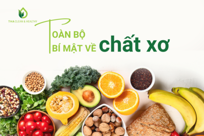 TOÀN BỘ BÍ MẬT VỀ CHẤT XƠ