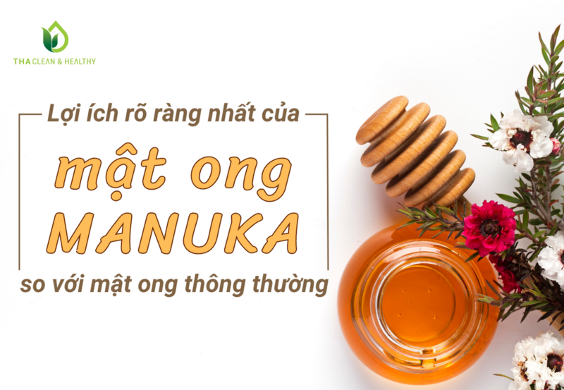LỢI ÍCH RÕ RÀNG NHẤT CỦA MẬT ONG MANUKA SO VỚI MẬT ONG THÔNG THƯỜNG
