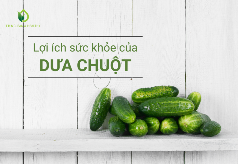 LỢI ÍCH SỨC KHỎE CỦA DƯA CHUỘT