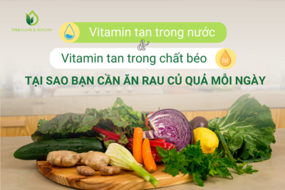 VITAMIN TAN TRONG NƯỚC VÀ VITAMIN TAN TRONG CHẤT BÉO: TẠI SAO BẠN CẦN ĂN RAU CỦ QUẢ MỖI NGÀY