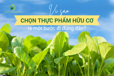 VÌ SAO CHỌN THỰC PHẨM HỮU CƠ LÀ MỘT BƯỚC ĐI ĐÚNG ĐẮN?