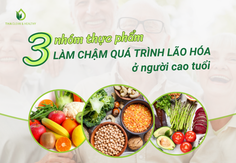 3 NHÓM THỰC PHẨM LÀM CHẬM QUÁ TRÌNH LÃO HÓA Ở NGƯỜI CAO TUỔI