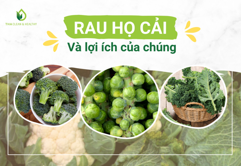 RAU HỌ CẢI – VÀ LỢI ÍCH CỦA CHÚNG