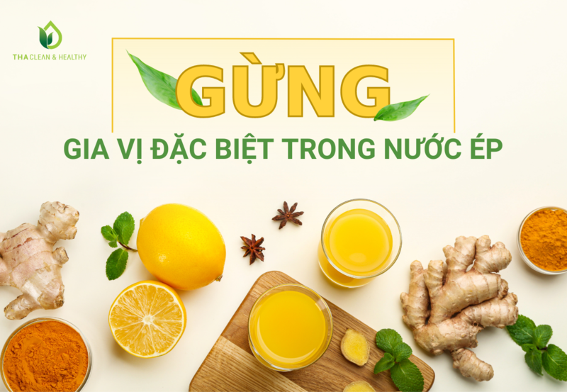 GỪNG - GIA VỊ ĐẶC BIỆT TRONG NƯỚC ÉP THANH LỌC