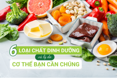 6 LOẠI CHẤT DINH DƯỠNG VÀ LÝ DO CƠ THỂ BẠN CẦN CHÚNG