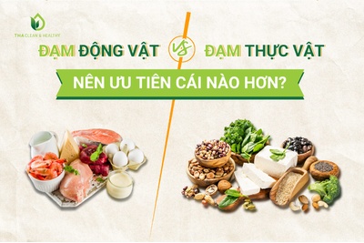 ĐẠM ĐỘNG VẬT VÀ ĐẠM THỰC VẬT NÊN ƯU TIÊN CÁI NÀO HƠN?