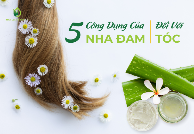 5 CÔNG DỤNG CỦA NHA ĐAM ĐỐI VỚI TÓC
