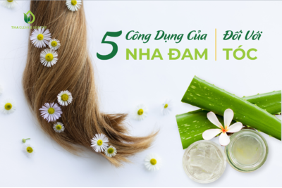 5 CÔNG DỤNG CỦA NHA ĐAM ĐỐI VỚI TÓC