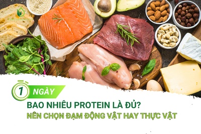 MỘT NGÀY BAO NHIÊU PROTEIN LÀ ĐỦ? NÊN CHỌN ĐẠM ĐỘNG VẬT HAY THỰC VẬT?