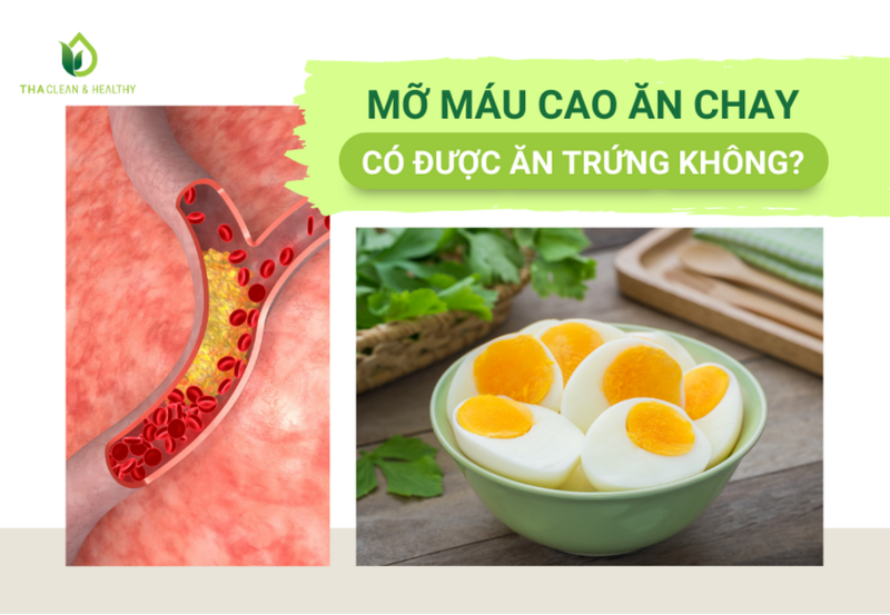 MỠ MÁU CAO ĂN CHAY CÓ ĐƯỢC ĂN TRỨNG KHÔNG?