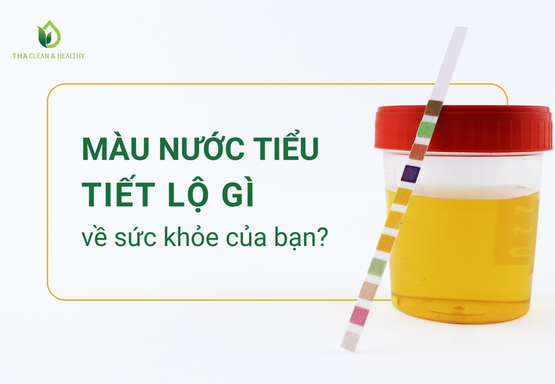 MÀU NƯỚC TIỂU TIẾT LỘ GÌ VỀ SỨC KHỎE CỦA BẠN?