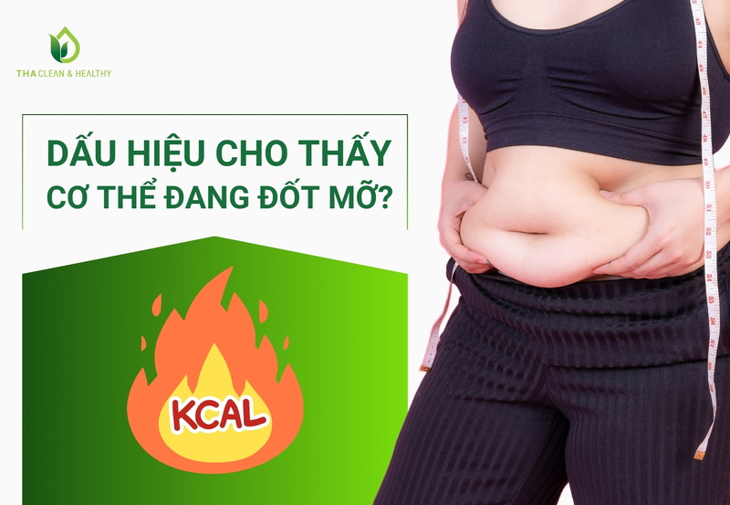 DẤU HIỆU CHO THẤY CƠ THỂ ĐANG ĐỐT MỠ?