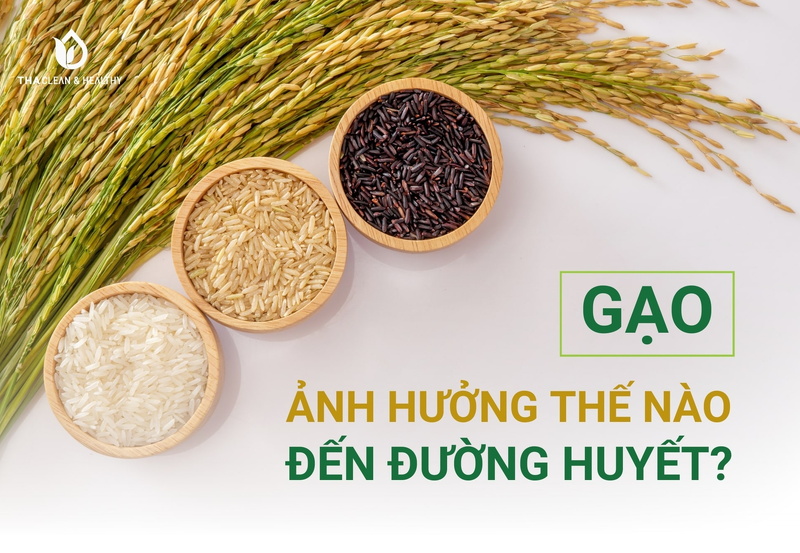 GẠO ẢNH HƯỞNG THẾ NÀO ĐẾN ĐƯỜNG HUYẾT?