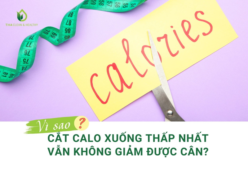 VÌ SAO CẮT CALO XUỐNG THẤP NHẤT VẪN KHÔNG GIẢM ĐƯỢC CÂN?