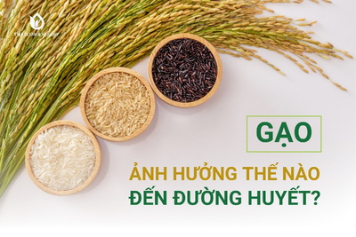 GẠO ẢNH HƯỞNG THẾ NÀO ĐẾN ĐƯỜNG HUYẾT?