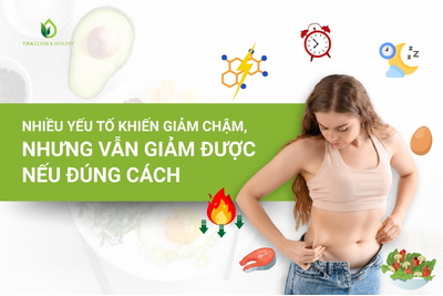 Thực đơn giảm cân nhanh cho nữ cơ địa khó giảm