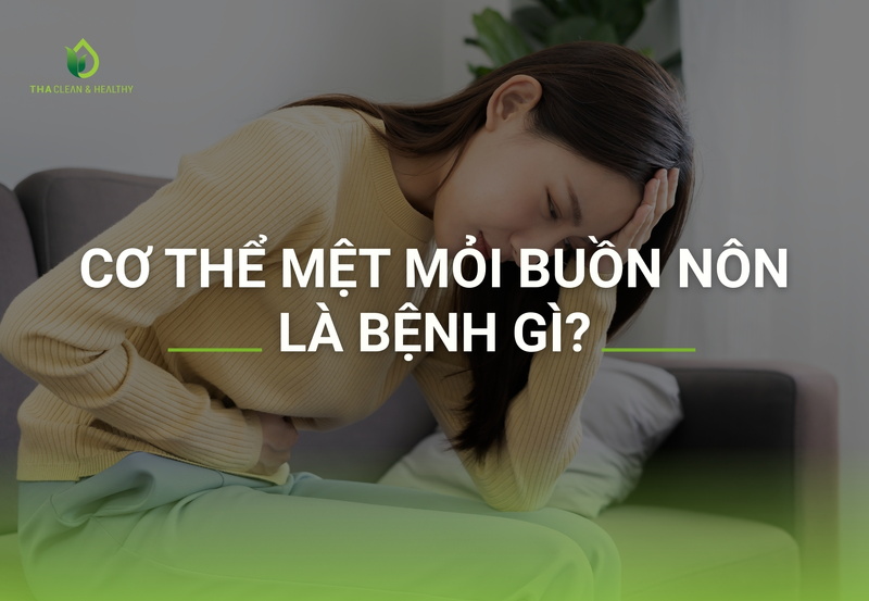 Cơ thể mệt mỏi buồn nôn là bệnh gì?