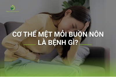 Cơ thể mệt mỏi buồn nôn là bệnh gì?