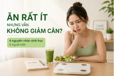 Tại Sao Ăn Ít Vẫn Mập?