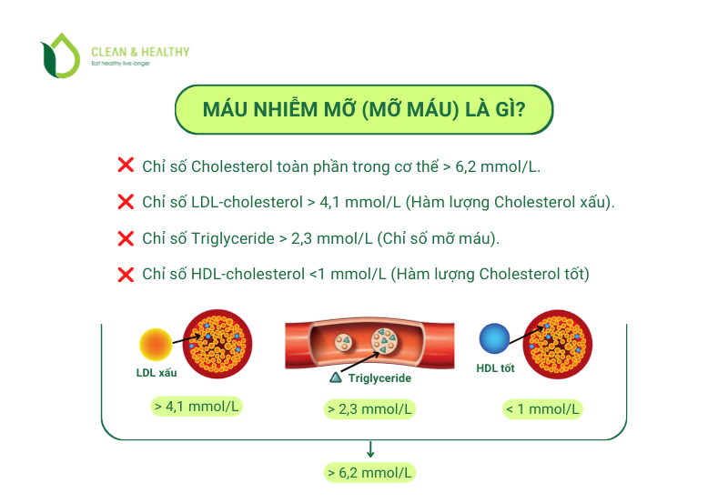 Máu nhiễm mỡ là gì?