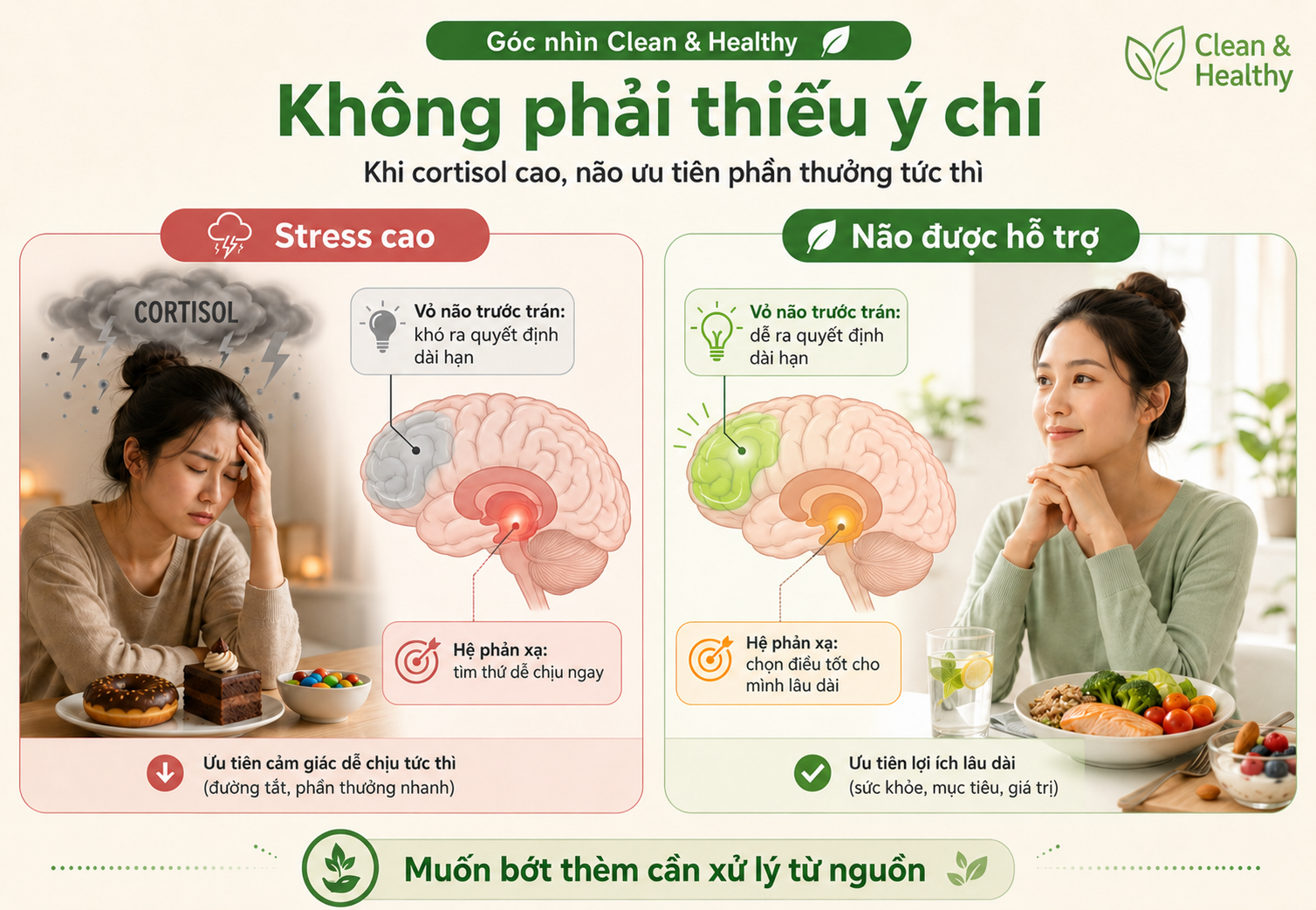 Bạn stress thèm ăn, stress thèm ngọt không phải do bạn không đủ quyết tâm
